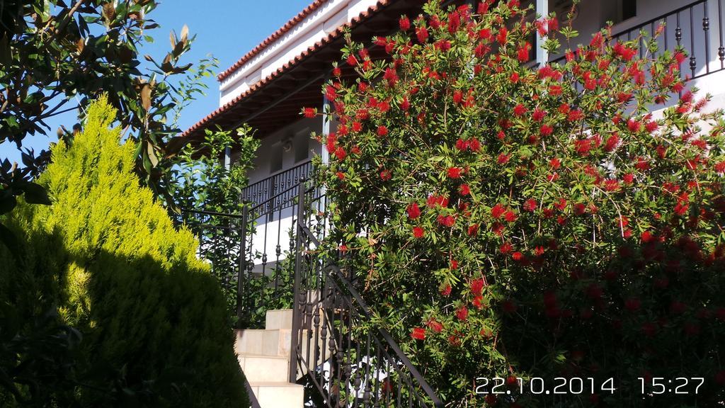 Skiathos Studios Panorama Extérieur photo